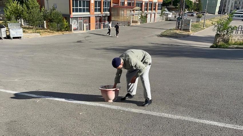 Apartman sakinleri bahçe duvarı örmek istediklerinde şoke eden gerçeği öğrendiler