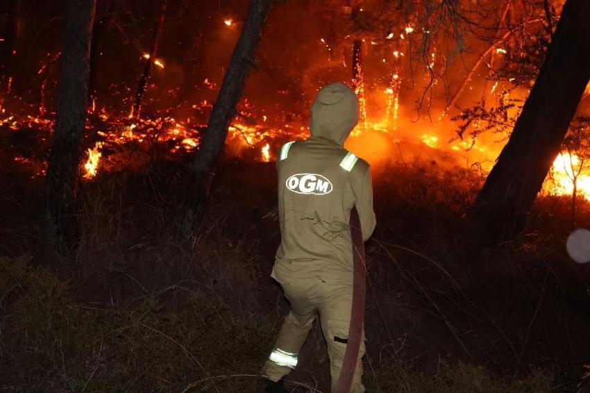 Fethiye alev alev! Evleri tehdit eden orman yangınında son durumu Muğla Valisi İdris Akbıyık açıkladı