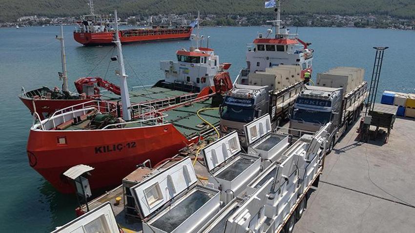 Türkiye'nin yavru balık ihtiyacının yüzde 75'i bu kentten karşılanıyor: 33 milyon yavru yurt dışına gönderildi!