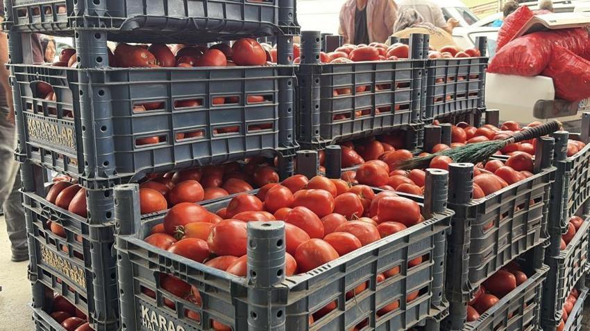 Kışlık hazırlık telaşı başladı! Salçalık biber ve domates fiyatları belli oldu