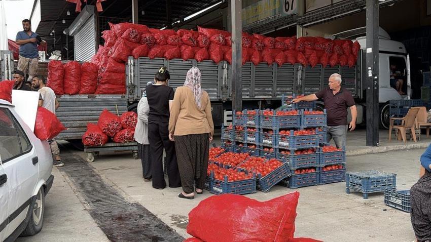 Kışlık hazırlık telaşı başladı! Salçalık biber ve domates fiyatları belli oldu