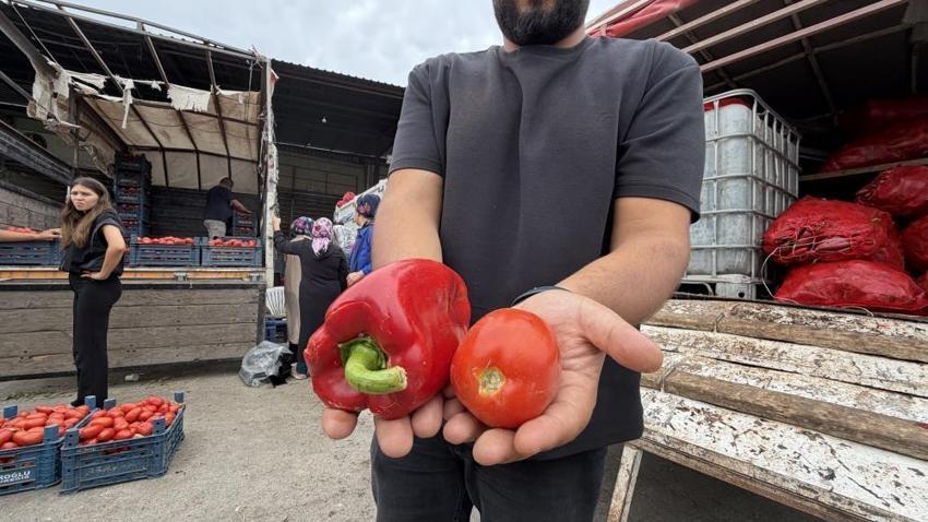 Kışlık hazırlık telaşı başladı! Salçalık biber ve domates fiyatları belli oldu