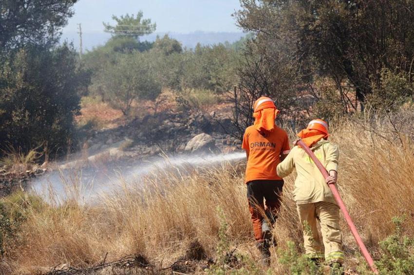 Seydikemer'de başlayan orman yangını Kaş'ta ormana sıçradı! Dünyaca ünlü Saklıkent kanyonu ziyaretçilere kapandı
