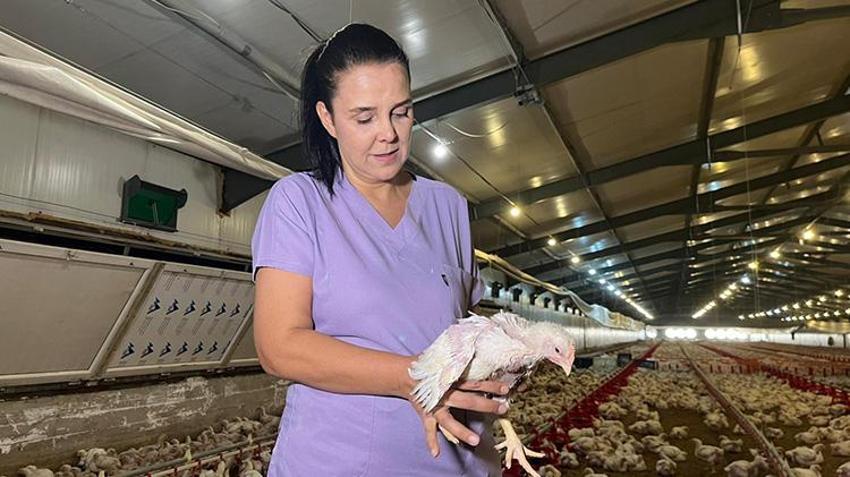 Eşinin emanetine sahip çıktı: Memurluğu bırakıp çiftliğin başına geçti