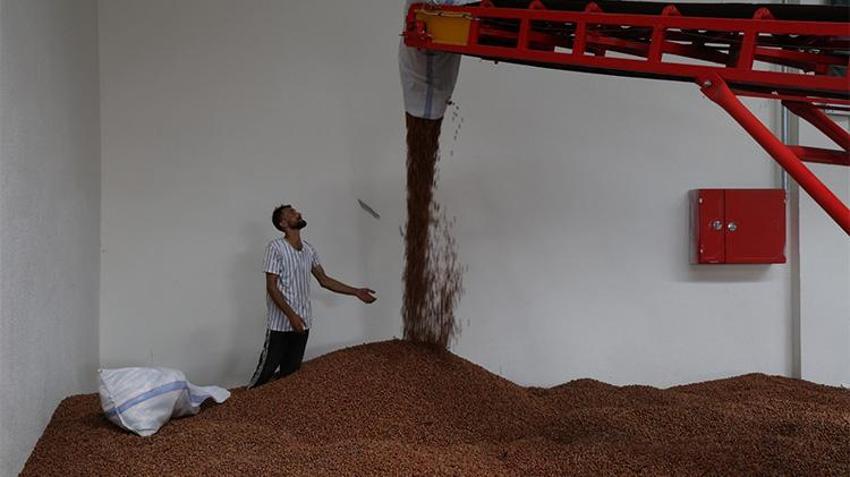 Kocaeli'de çiftçinin mağduriyeti bitti! Üreticiye can suyu: modern tesis kapılarını açtı!