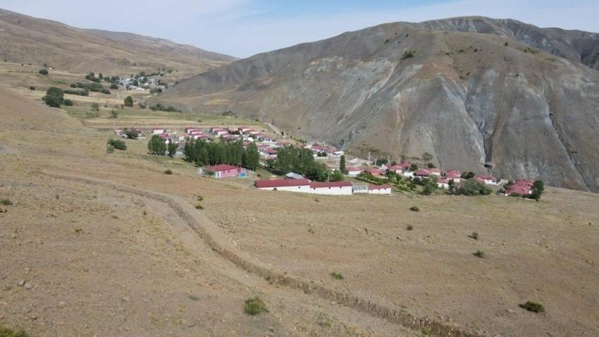 Erzincan'da ayı dehşeti: Yüzlerce hayvan telef oldu