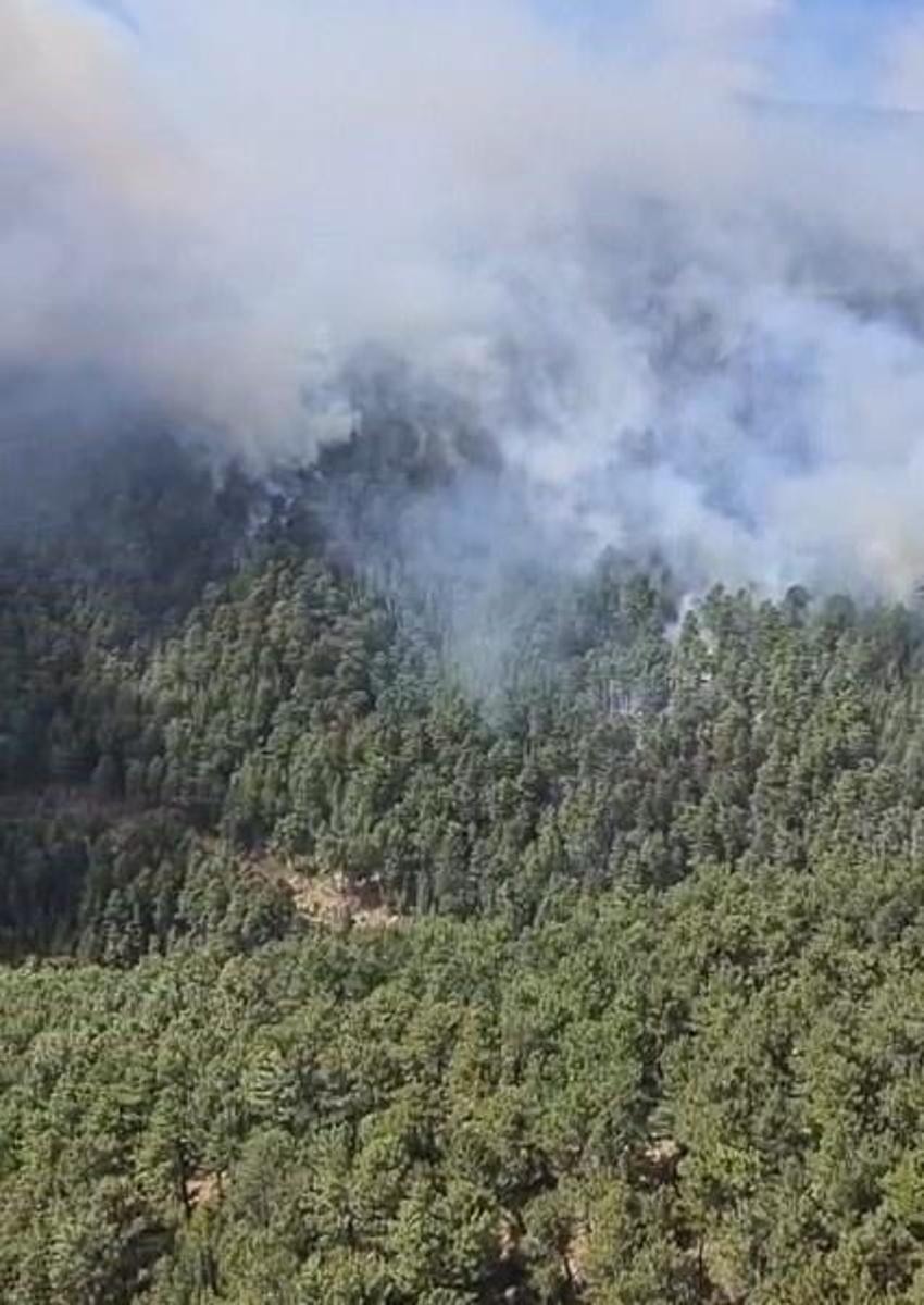Antalya'da son ki günde 38 noktada görüldü: Yaz bitsin diye dua ediyorlar