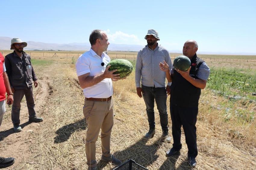Niğde'de 51 bin fidenin karşılığı alındı: NOHÜ'de hasat yapıldı