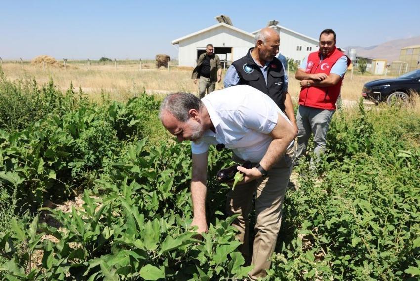 Niğde'de 51 bin fidenin karşılığı alındı: NOHÜ'de hasat yapıldı