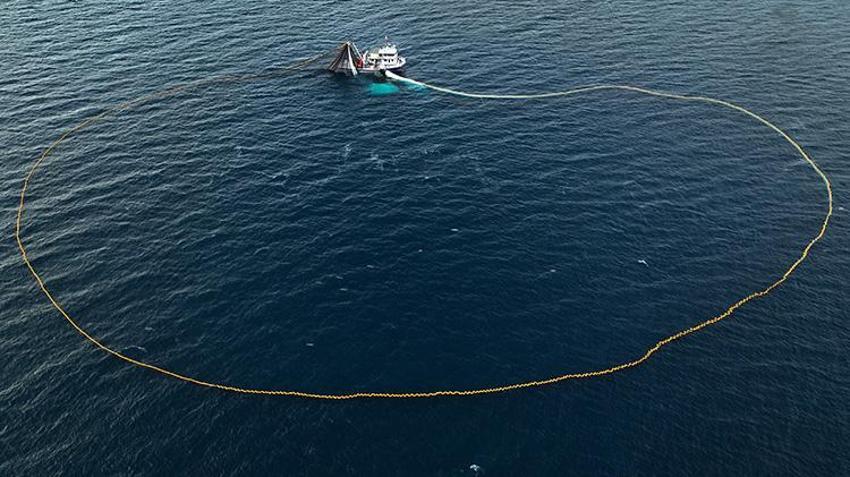 Ege'de sezon hamsi bereketiyle başladı: 2 saatte 300 kasa balık taktılar!