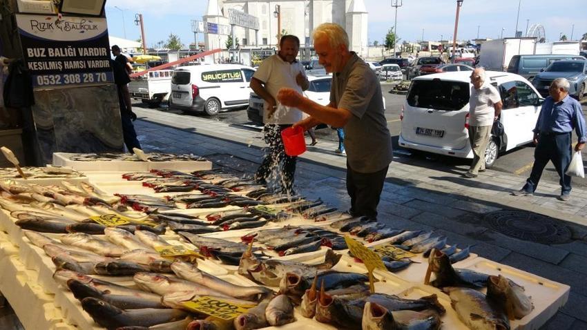 Balık sezonu bereketle açıldı! Denizden kasa kasa çıktı: Fiyatını görenler tezgaha koştu!