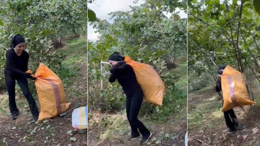 Yevmiye 2.500 TL, fındık bedava! Giresunlu genç üretici vazgeçmiyor: Her şeye rağmen üretmeye devam edeceğiz