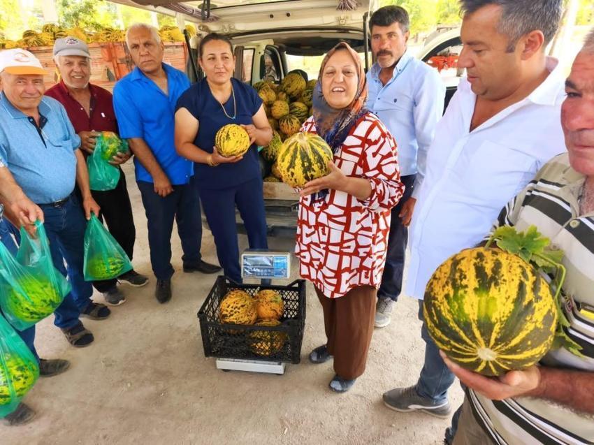 Afyonkarahisar'da susuz yetişiyor, bal gibi tadıyla şaşırtıyor! Tarladan çıktığı an kapış kapış satılıyor