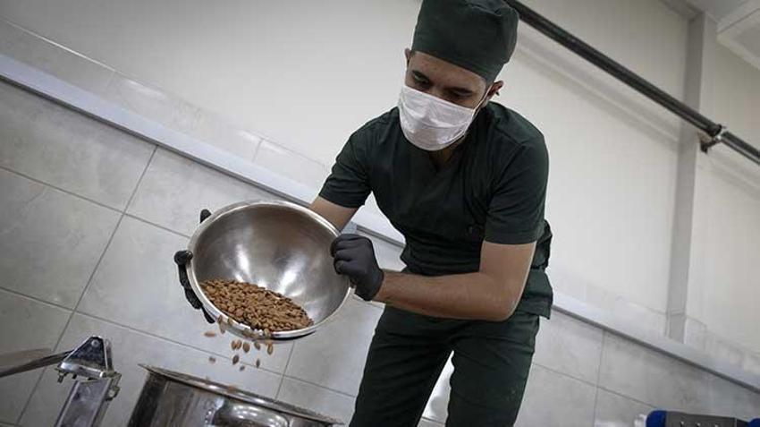Malatya'dan Türkiye'ye bir ilk! Kayısı çekirdeğinden glütensiz bisküvi üretildi! Günlük 10 bin adet üretiliyor