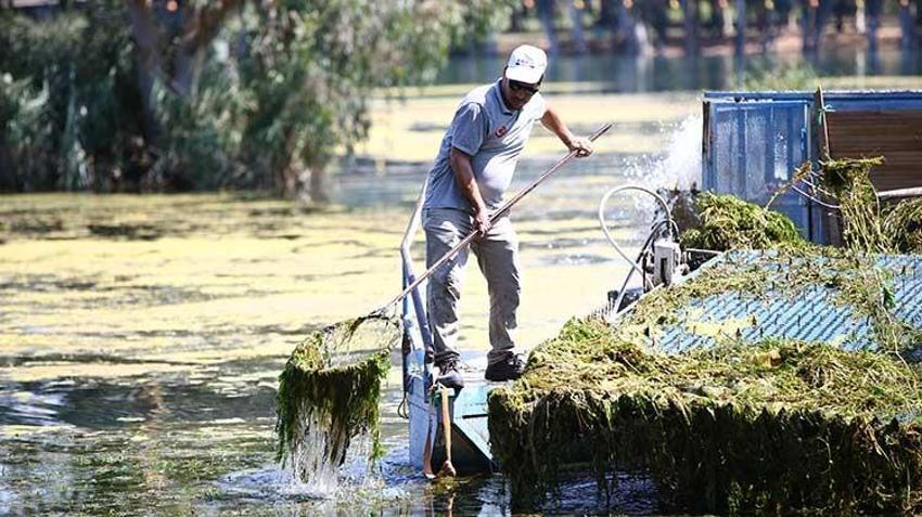 Seyhan Baraj Gölü'nde temizlik seferberliği: Belediyeden şafak operasyonu gibi müdahale! Günlük 2-3 ton atık çıkarılıyor!