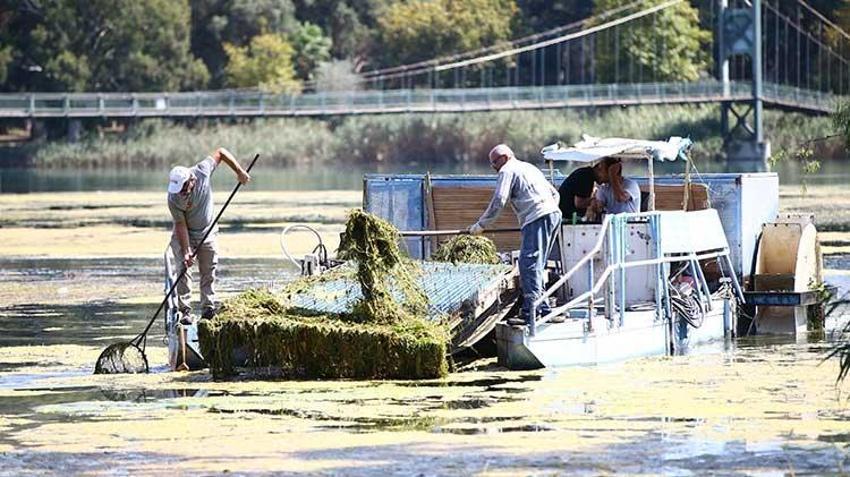 Seyhan Baraj Gölü'nde temizlik seferberliği: Belediyeden şafak operasyonu gibi müdahale! Günlük 2-3 ton atık çıkarılıyor!