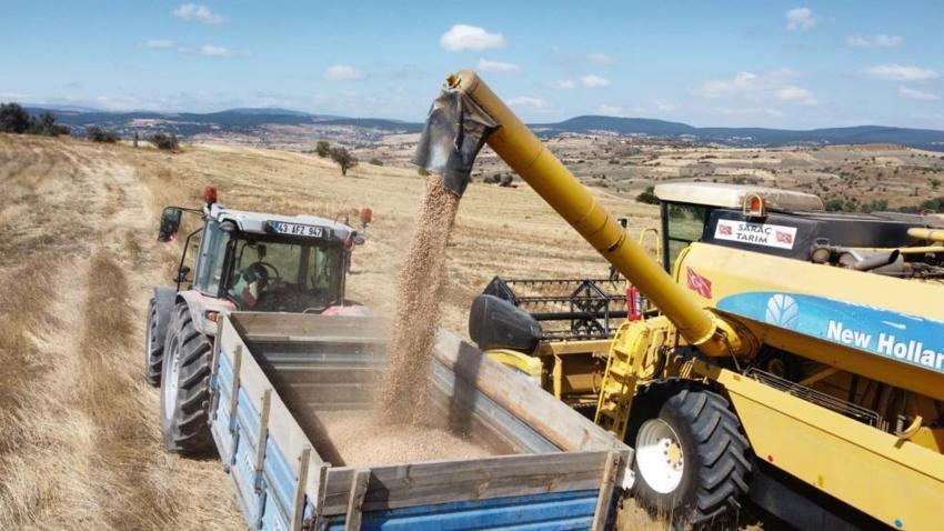 Denizli'de geliştirildi! Yeni çeşit tarlada yüzleri güldürdü