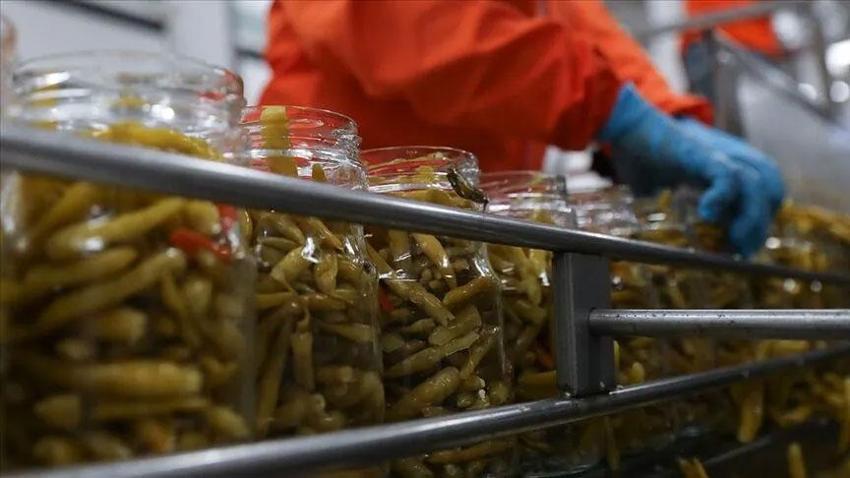 Turşu sezonu başladı, yılların turşucusundan püf noktaları geldi! Kışlık konserve hazırlayacaklara ise uzmanından kritik uyarı geldi
