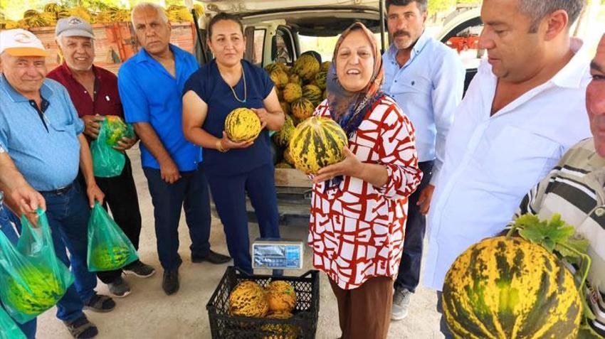 Tek damla su verilmeden yetişen tadıyla damak çatlatan kavunlar kapış kapış satılıyor
