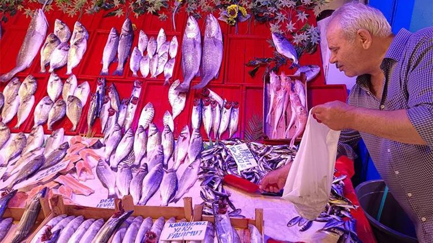 Balıkçılardan vatandaşa fiyat müjdesi: Palamut 450 liradan 150 liraya düştü!