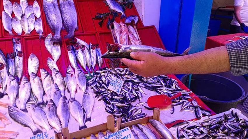 Balıkçılardan vatandaşa fiyat müjdesi: Palamut 450 liradan 150 liraya düştü!