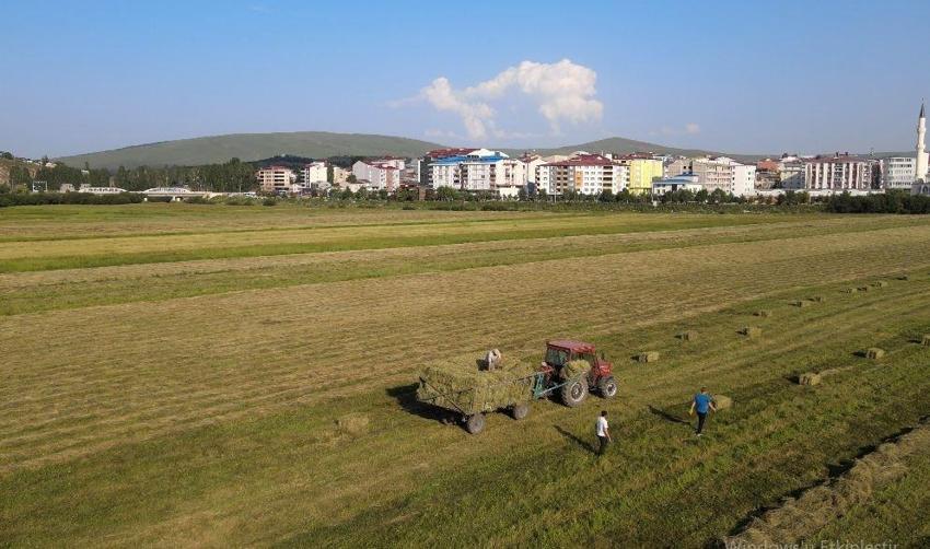 Ardahan'da zorlu mesai başladı: Kış başlamadan depolara dolduruyorlar