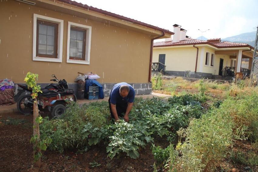 TOKİ hazırladı, üretimi kendileri yapıyor: Gaziantep'te ev önünde yetiştiriyorlar
