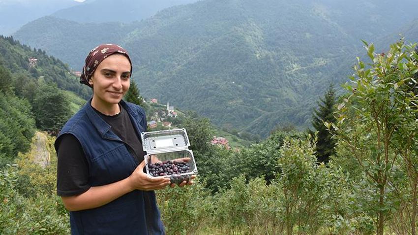 Atıl araziyi servete çevirdi! Şimdi siparişlere yetişemiyor: Babasının diktiği fidanlarla kendi işinin patronu oldu