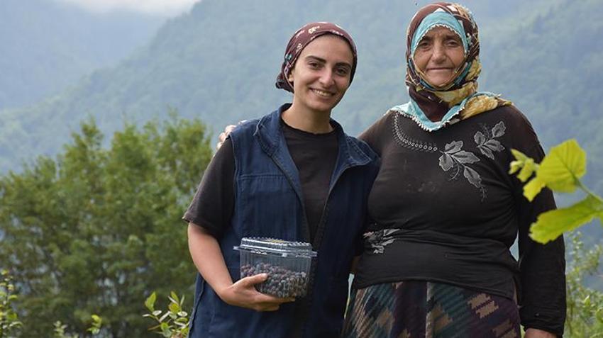 Atıl araziyi servete çevirdi! Şimdi siparişlere yetişemiyor: Babasının diktiği fidanlarla kendi işinin patronu oldu