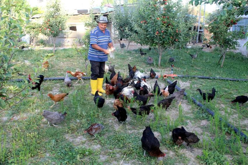 Kayserili esnaf çocukluk hayali için meslek değiştirdi: '2 paket sigara parasına 300 canlı doyuyor'