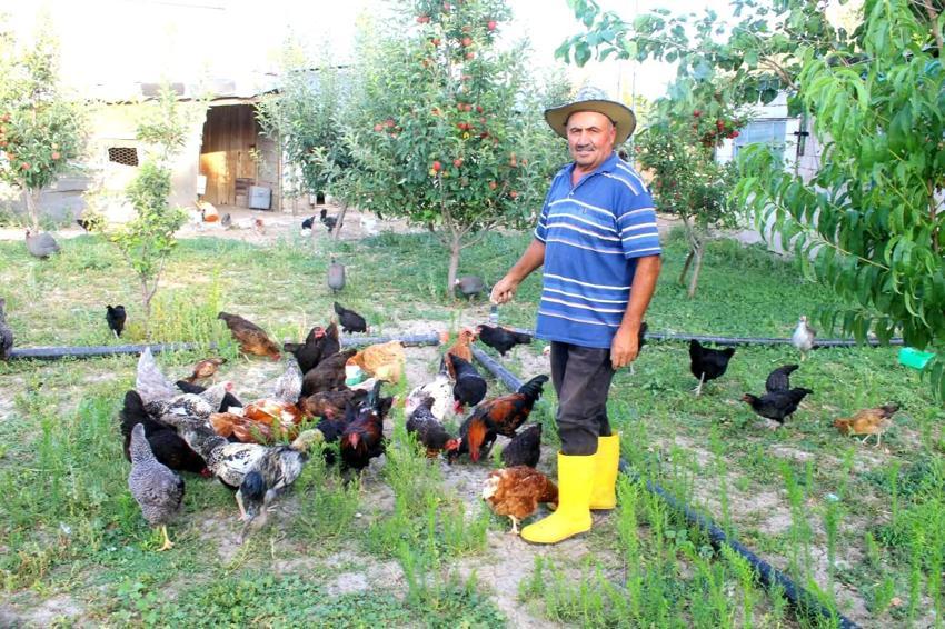 Kayserili esnaf çocukluk hayali için meslek değiştirdi: '2 paket sigara parasına 300 canlı doyuyor'