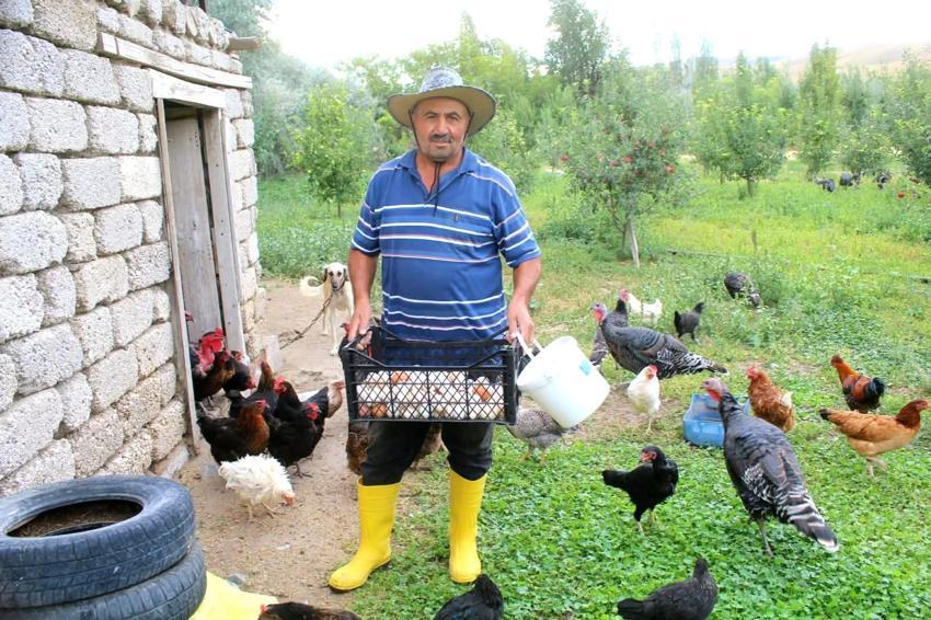 Kayserili esnaf çocukluk hayali için meslek değiştirdi: '2 paket sigara parasına 300 canlı doyuyor'