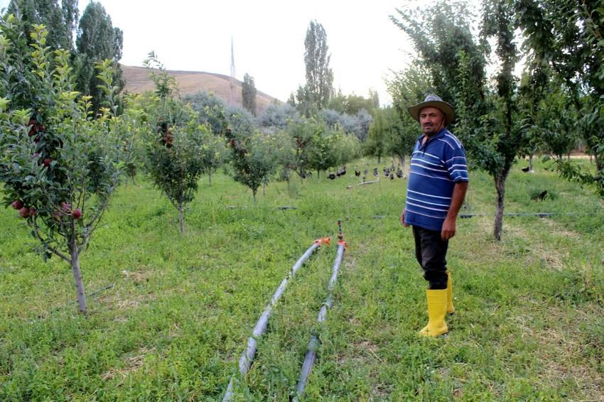 Kayserili esnaf çocukluk hayali için meslek değiştirdi: '2 paket sigara parasına 300 canlı doyuyor'