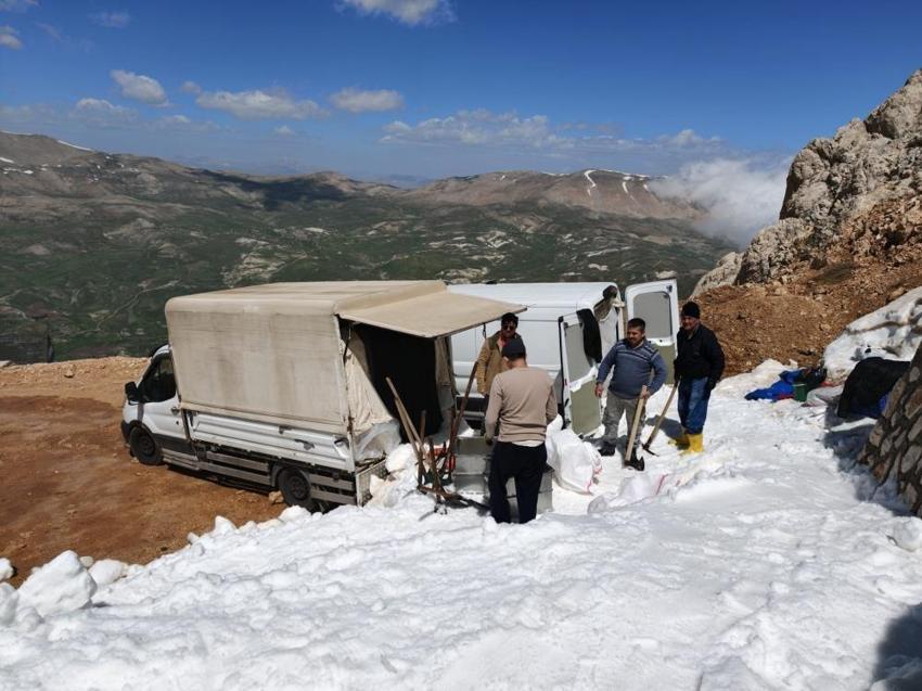 Pazarda bir tek o cesaret edip satıyor: Haftada 2 ton garanti satışı var, dağdan kesip getiriyor
