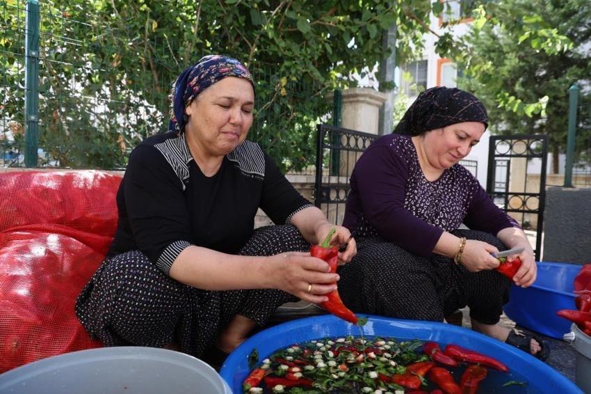 Adana'nın güneşine bir tek kadınları dayanıyor: Apartman damlarında üretiyorlar