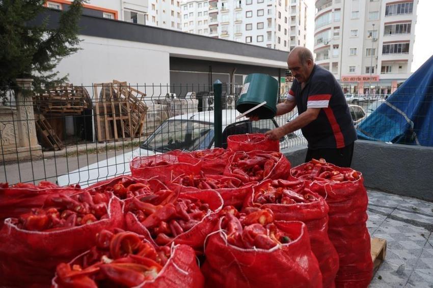 Adana'nın güneşine bir tek kadınları dayanıyor: Apartman damlarında üretiyorlar