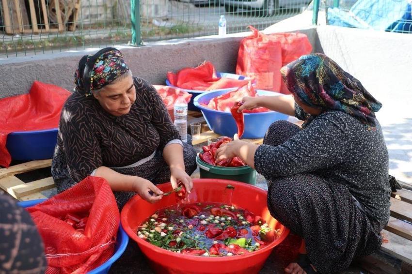 Adana'nın güneşine bir tek kadınları dayanıyor: Apartman damlarında üretiyorlar