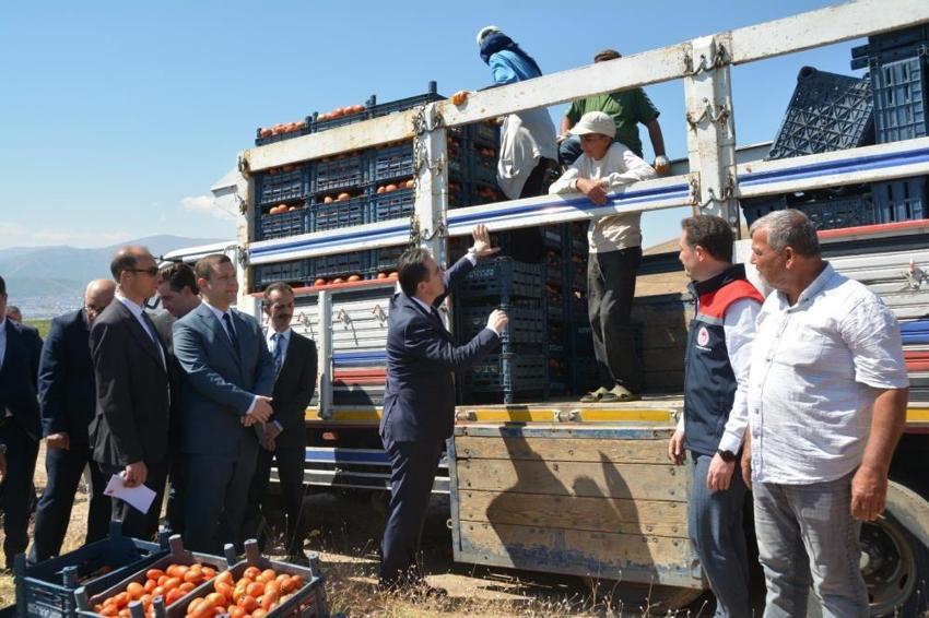 Türkiye 7'ncisi oldu! Bitlis'te dev üretim: Bölgenin zirvesine yerleşti