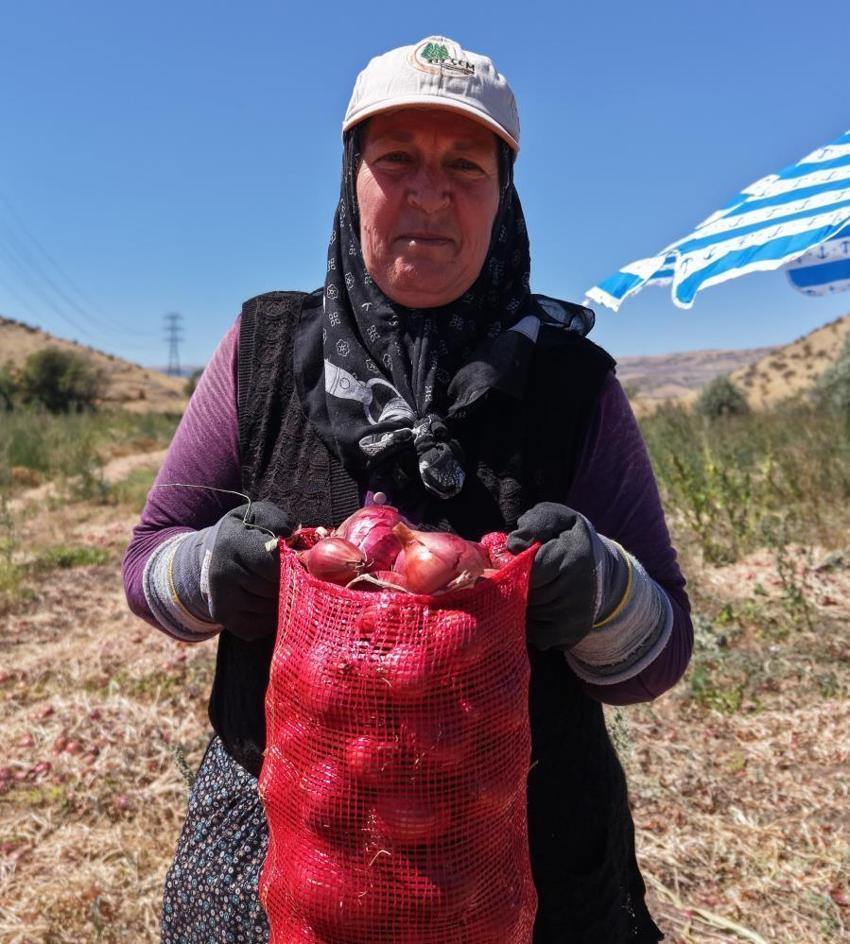 Kırıkkale'de çiftçi 20 dönümden 80 ton verim elde etti! Ata tohumundan üretti, kilosu 30 liradan satılıyor