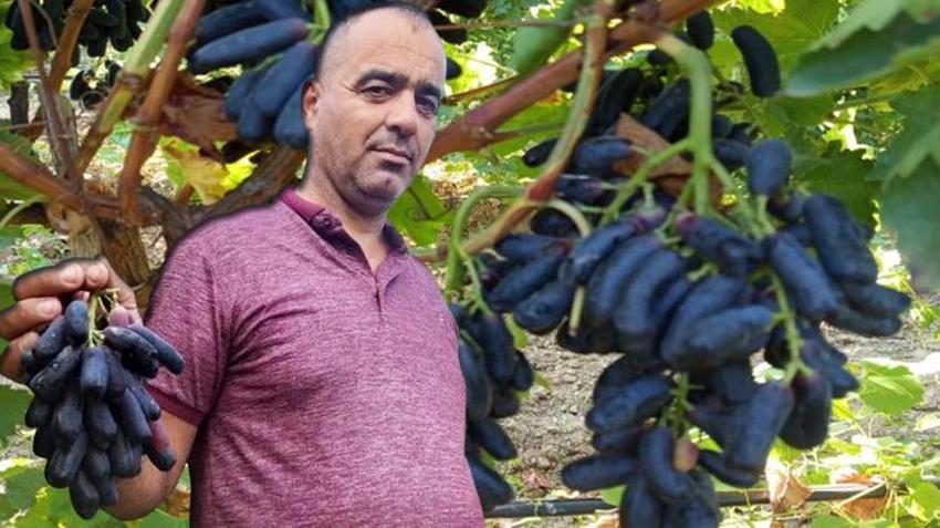 Manisa'da deneme amaçlı ekti, sonuçları şaşkına çevirdi! Üreticiler bağa akın etti: Kapış kapış satılıyor
