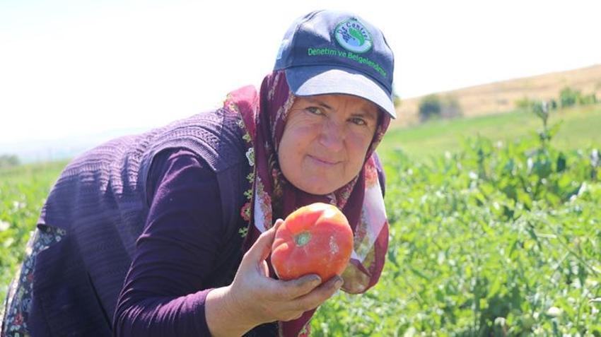 Kayseri’de ata tohumundan yetişiyor! Tuzla Gölü’nün tuzu aromasını değiştiriyor, talebe yetişemiyorlar
