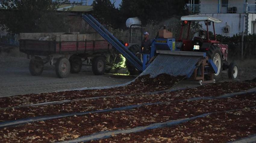 Hasat sonrası zorlu bekleyiş! Binlerce liralık emek için sabaha kadar nöbet tutuyorlar!