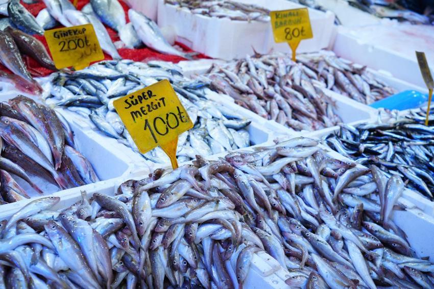 Karadeniz'de palamut patlaması! Tanesi ilk gün 150 TL'den satılıyordu 80 TL'ye düştü