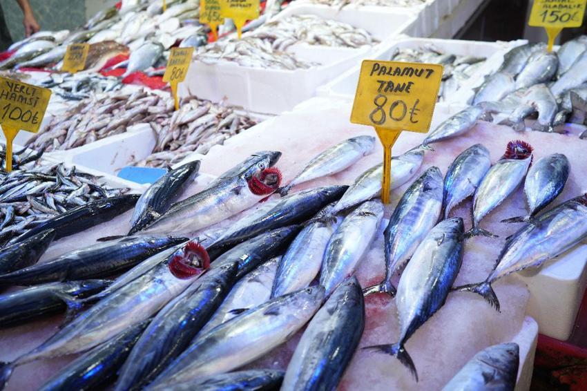 Karadeniz'de palamut patlaması! Tanesi ilk gün 150 TL'den satılıyordu 80 TL'ye düştü