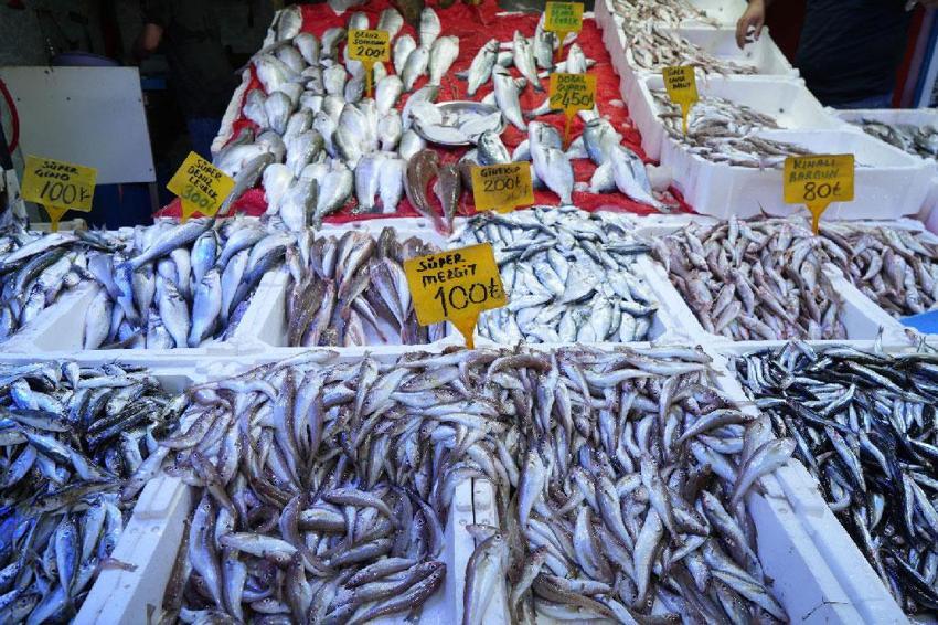 Karadeniz'de palamut patlaması! Tanesi ilk gün 150 TL'den satılıyordu 80 TL'ye düştü