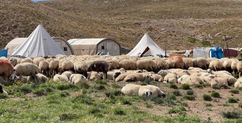 Üretici kara kara düşünüyor! 150 bin lira maaş veriyorlar, yine de çalışan bulamıyorlar