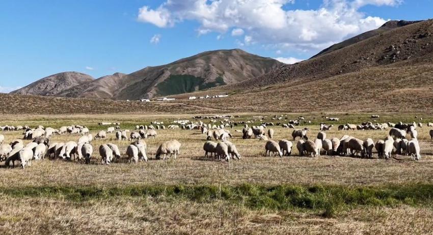 Üretici kara kara düşünüyor! 150 bin lira maaş veriyorlar, yine de çalışan bulamıyorlar