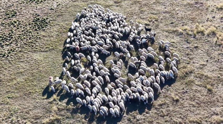 Üretici kara kara düşünüyor! 150 bin lira maaş veriyorlar, yine de çalışan bulamıyorlar