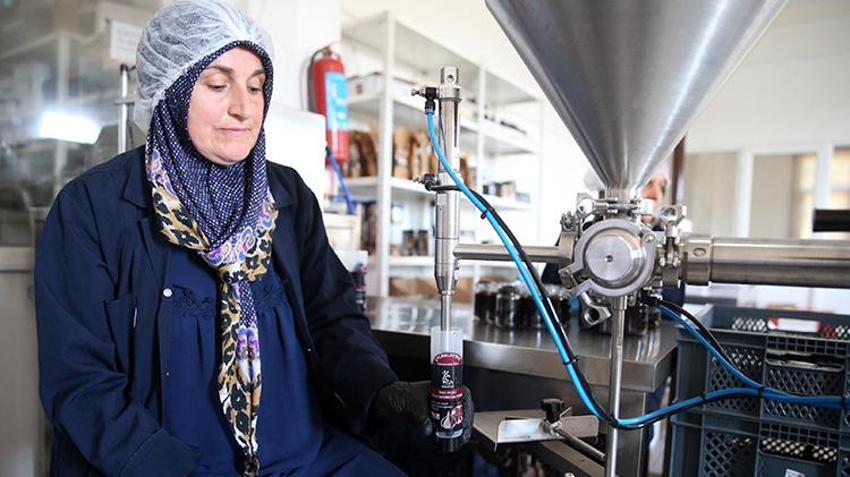 Güney Kore gezisinde gördü Kastamonu'da üretti! Girişimci vatandaş Taşköprü'nün beyaz altınını siyah altına çevirdi