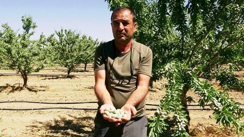 Hobi olarak başladı, kazanç kapısı oldu: Tarladan 10 ton rekolte bekleniyor